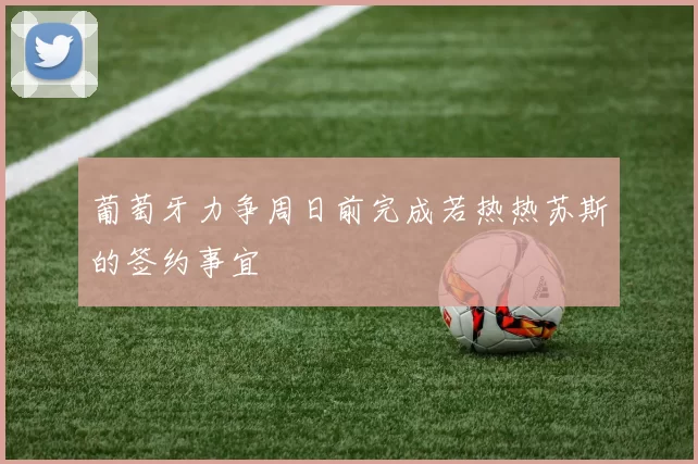 葡萄牙力争周日前完成若热热苏斯的签约事宜